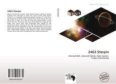 Buchcover von 2463 Sterpin