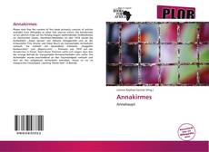 Bookcover of Annakirmes