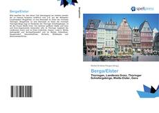 Berga/Elster kitap kapağı