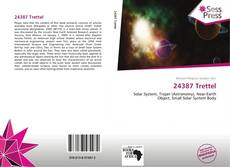 Bookcover of 24387 Trettel