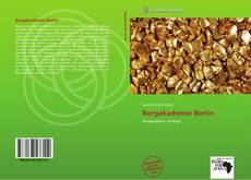 Bookcover of Bergakademie Berlin