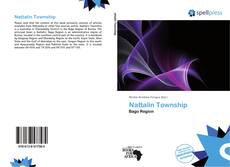 Bookcover of Nattalin Township