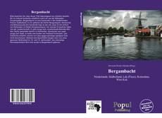 Capa do livro de Bergambacht 