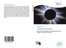 Bookcover of 24060 Schimenti
