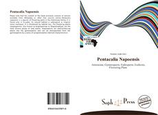 Couverture de Pentacalia Napoensis