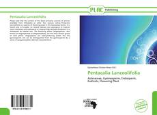 Buchcover von Pentacalia Lanceolifolia