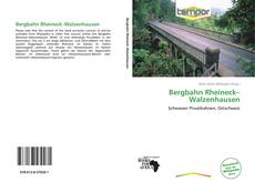 Portada del libro de Bergbahn Rheineck–Walzenhausen