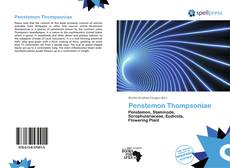 Bookcover of Penstemon Thompsoniae