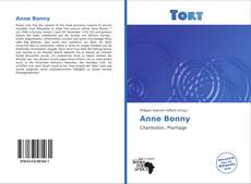 Capa do livro de Anne Bonny 