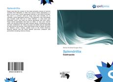 Splendrillia kitap kapağı