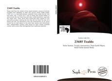 Bookcover of 23685 Toaldo