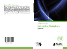 Bookcover of Splendrillia Alabastrum