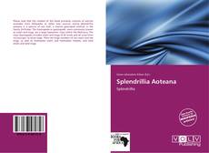 Capa do livro de Splendrillia Aoteana 