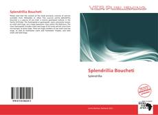 Portada del libro de Splendrillia Boucheti