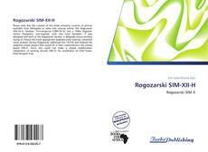 Rogozarski SIM-XII-H kitap kapağı