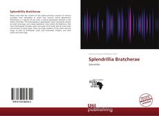 Couverture de Splendrillia Bratcherae