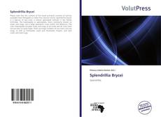 Capa do livro de Splendrillia Brycei 