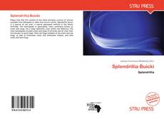 Couverture de Splendrillia Buicki