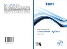 Capa do livro de Splendrillia Clydonia 