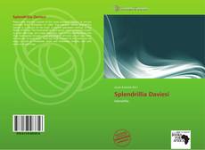 Bookcover of Splendrillia Daviesi