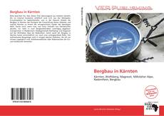 Bergbau in Kärnten kitap kapağı