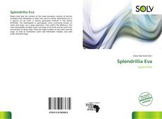 Couverture de Splendrillia Eva