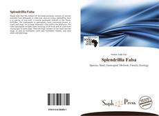 Couverture de Splendrillia Falsa