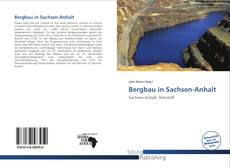 Copertina di Bergbau in Sachsen-Anhalt