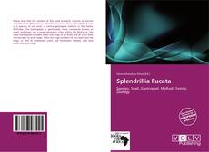 Splendrillia Fucata kitap kapağı