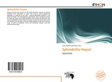 Splendrillia Hayesi kitap kapağı