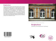 Bookcover of Bergbauhaus