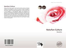 Обложка Natufian Culture