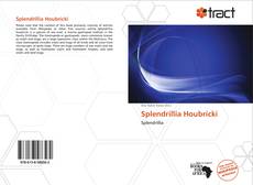 Bookcover of Splendrillia Houbricki