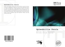 Splendrillia Jacula kitap kapağı