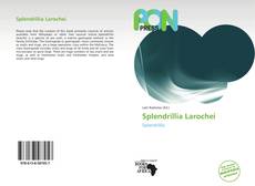 Splendrillia Larochei的封面