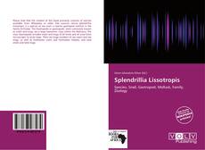 Splendrillia Lissotropis kitap kapağı