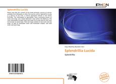 Splendrillia Lucida kitap kapağı