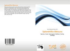 Buchcover von Splendrillia Obscura