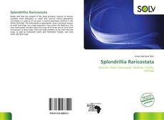 Bookcover of Splendrillia Raricostata