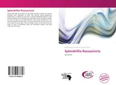 Bookcover of Splendrillia Roseacincta