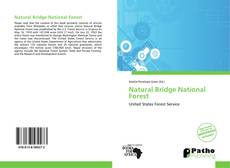 Bookcover of Natural Bridge National Forest