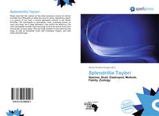 Bookcover of Splendrillia Taylori