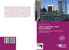 Lake Cargelligo, New South Wales的封面