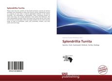 Splendrillia Turrita kitap kapağı