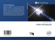 Copertina di 22983 Schlingheyde