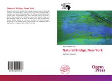 Bookcover of Natural Bridge, New York