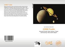 Buchcover von 22900 Trudie