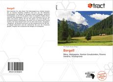 Portada del libro de Bergell