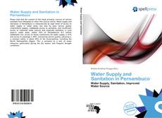 Bookcover of Water Supply and Sanitation in Pernambuco