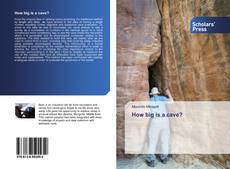 Capa do livro de How big is a cave? 